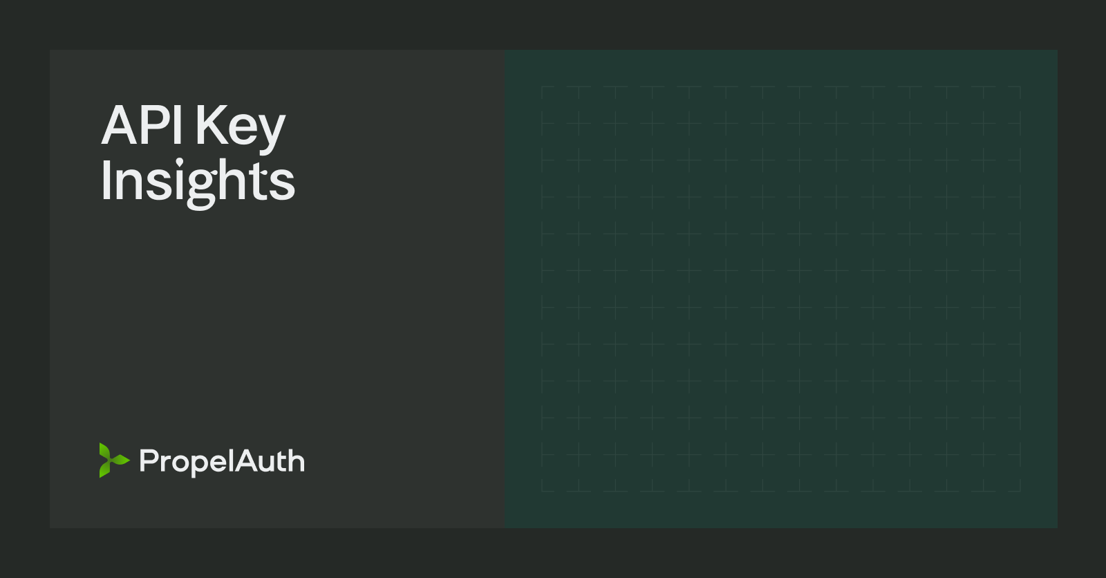 API Key Insights