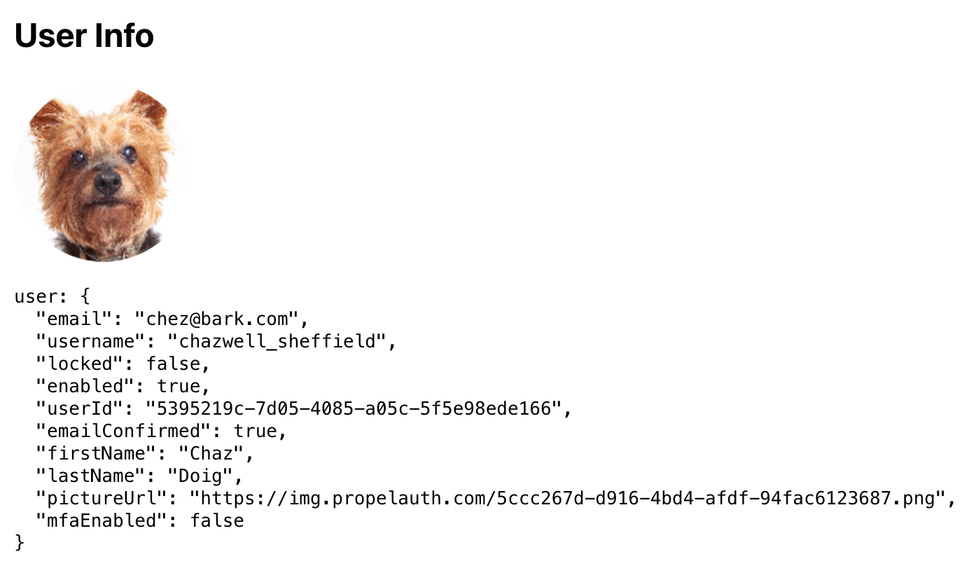 Image in article: Next.js + PropelAuth Authentication Guide